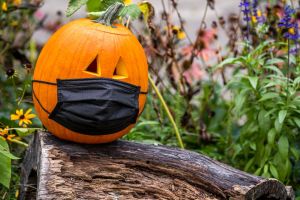 pumpkin face mask pumpkin face mask