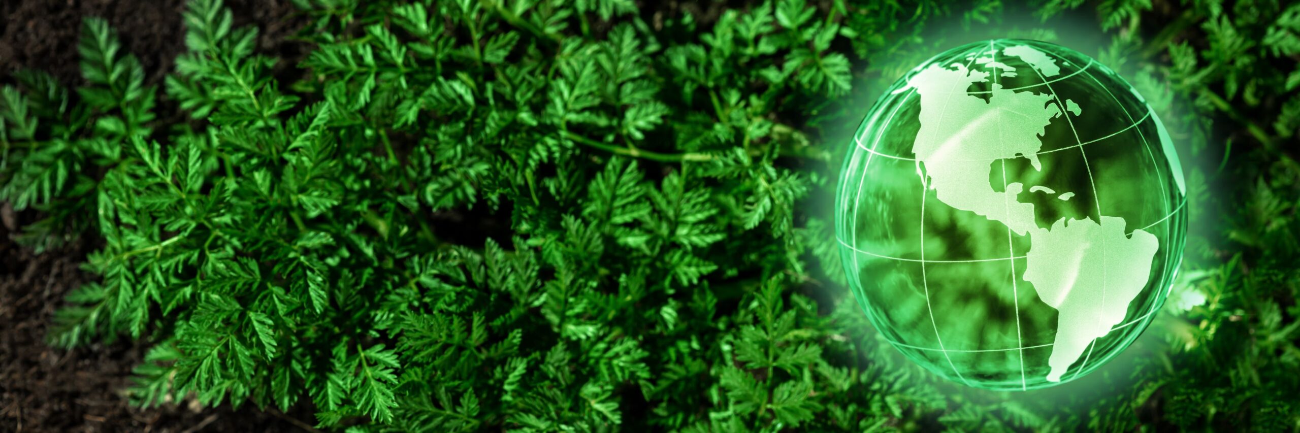 Crystal clean environment