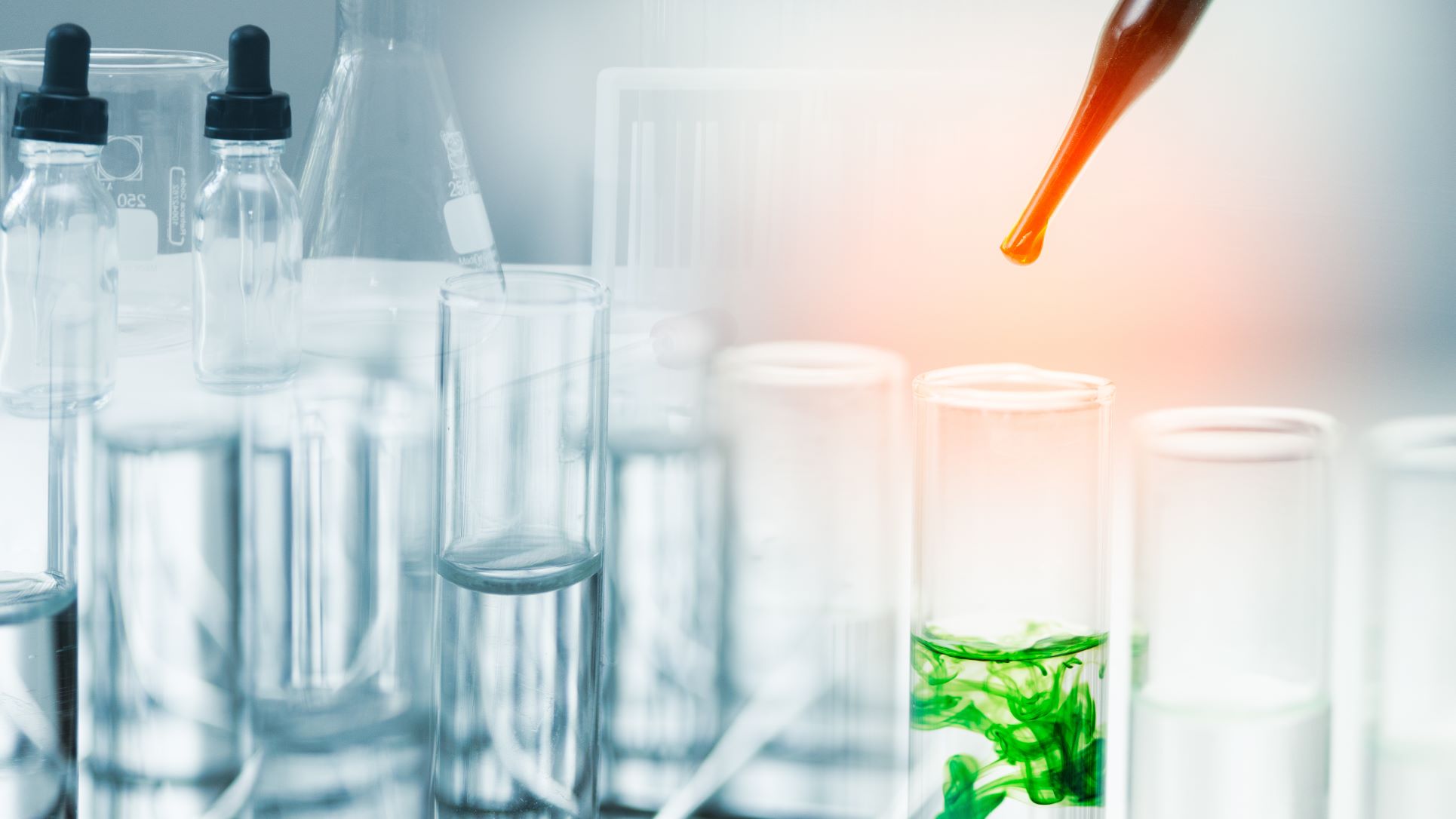 the truth about gmo foods