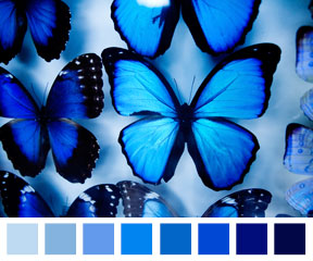 33+ Monochromatic Images PNG