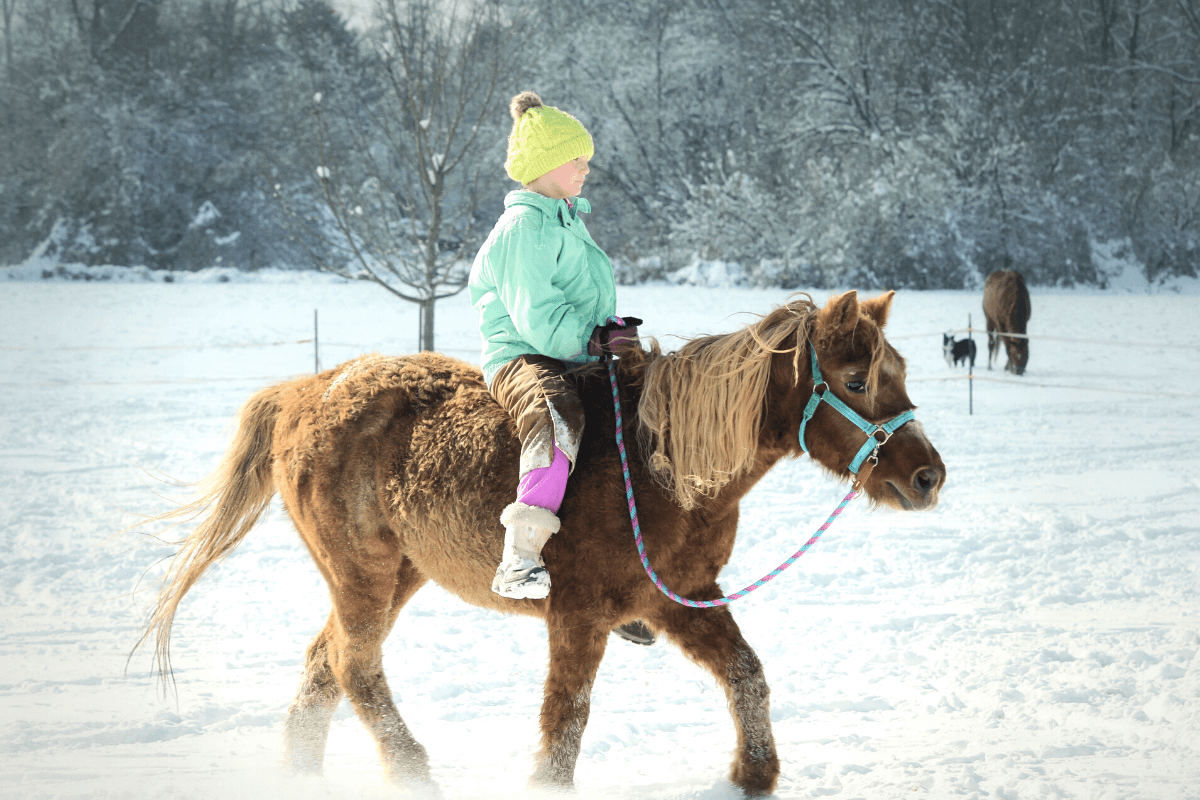 Horseback Riding Lessons in Reno, Carson City, Gardnerville, Truckee