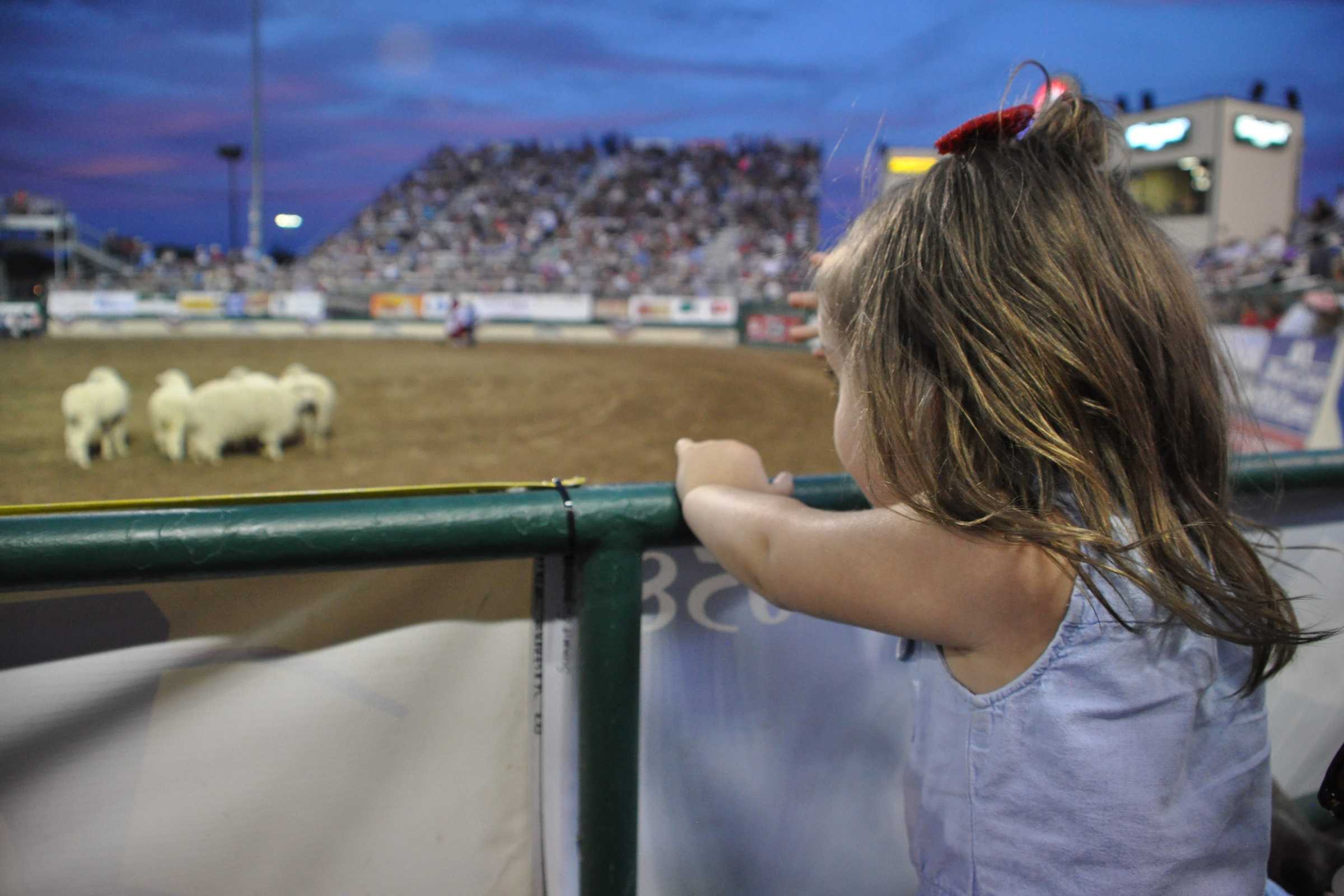 reno rodeo tips