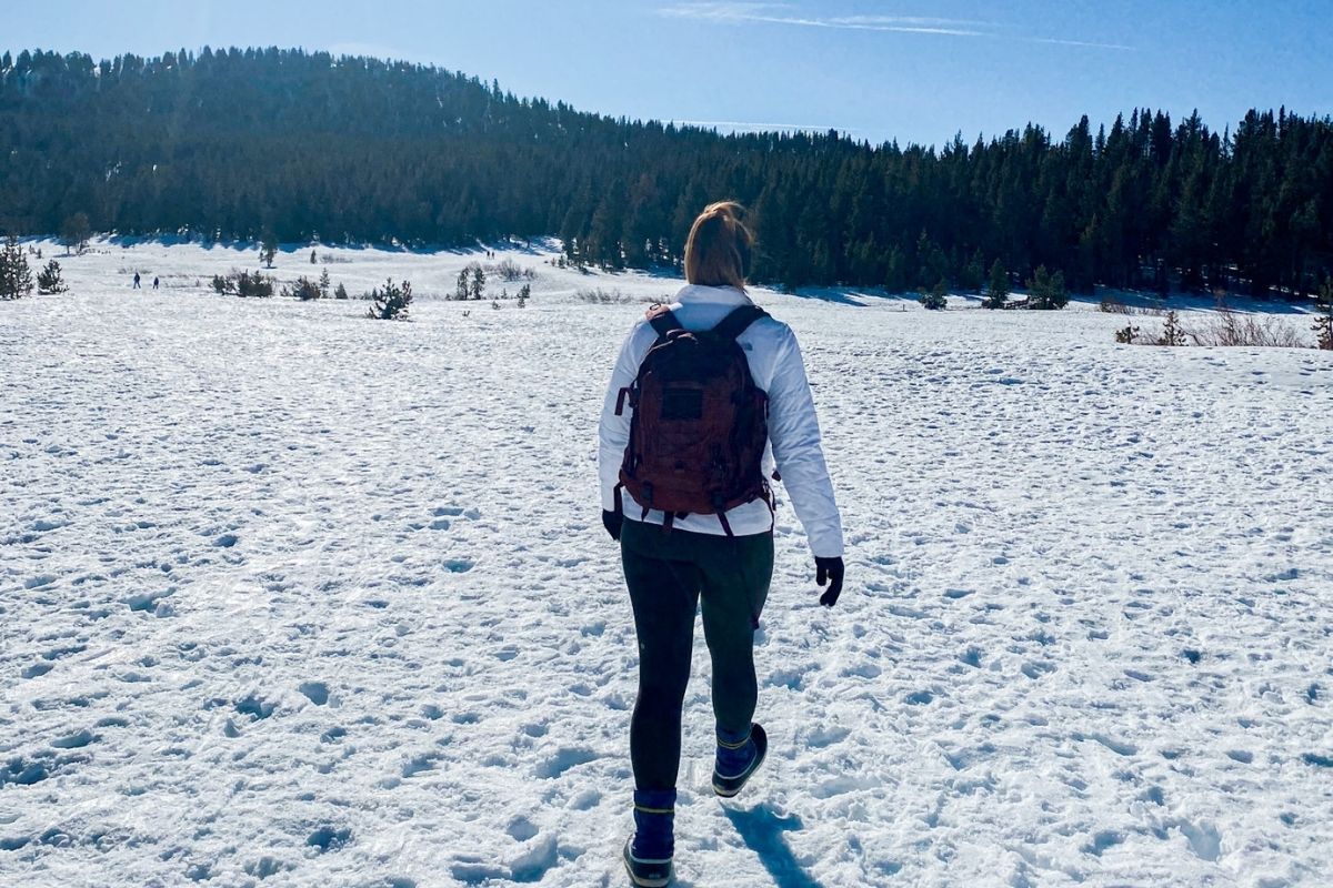 chickadee ridge reno