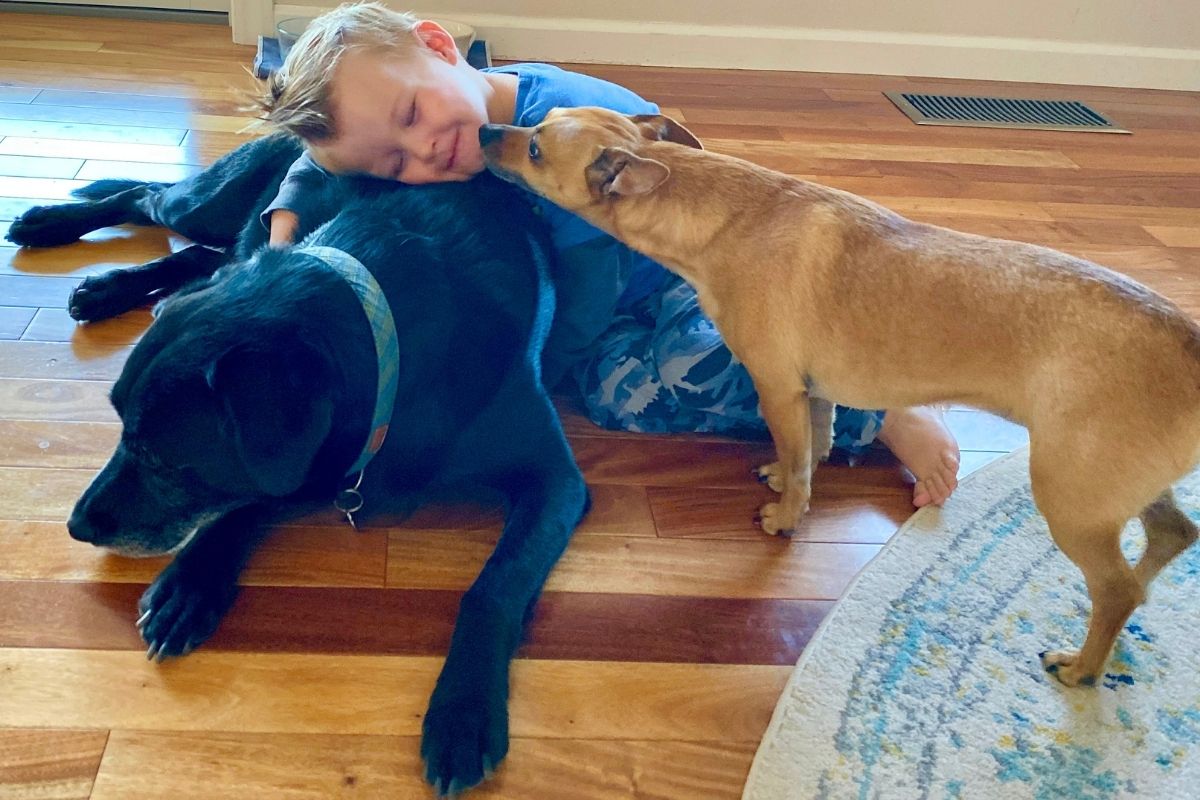 pets good for kids