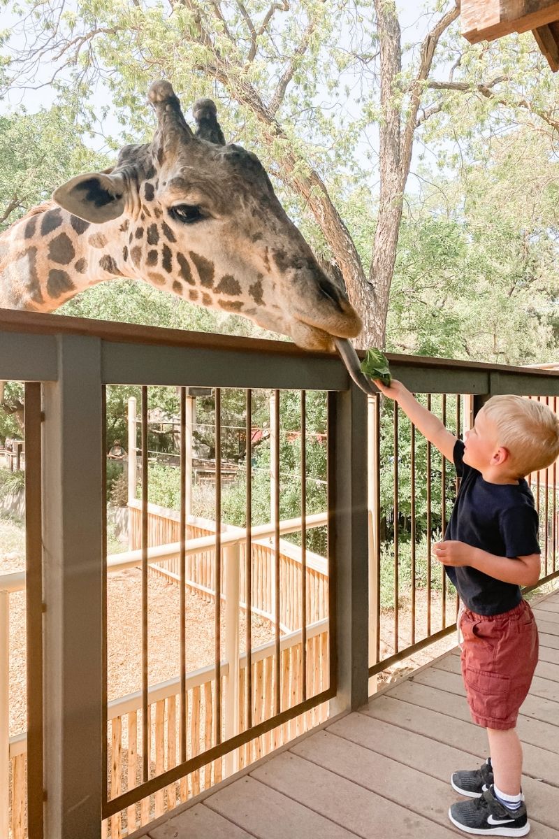 Sacramento Zoo