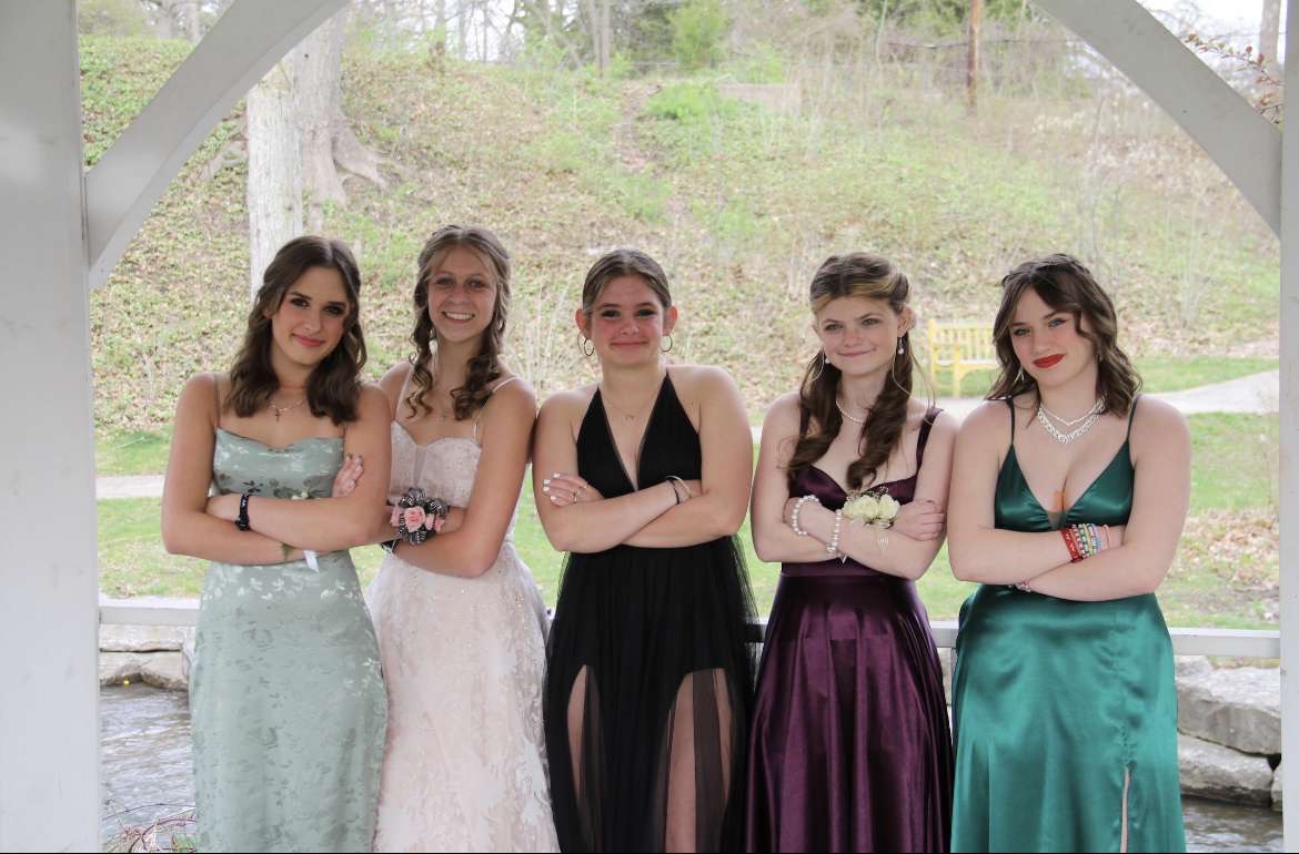 Prom Dress Dilemma: Why Your Opinion is the Only One That Matters - The Roar