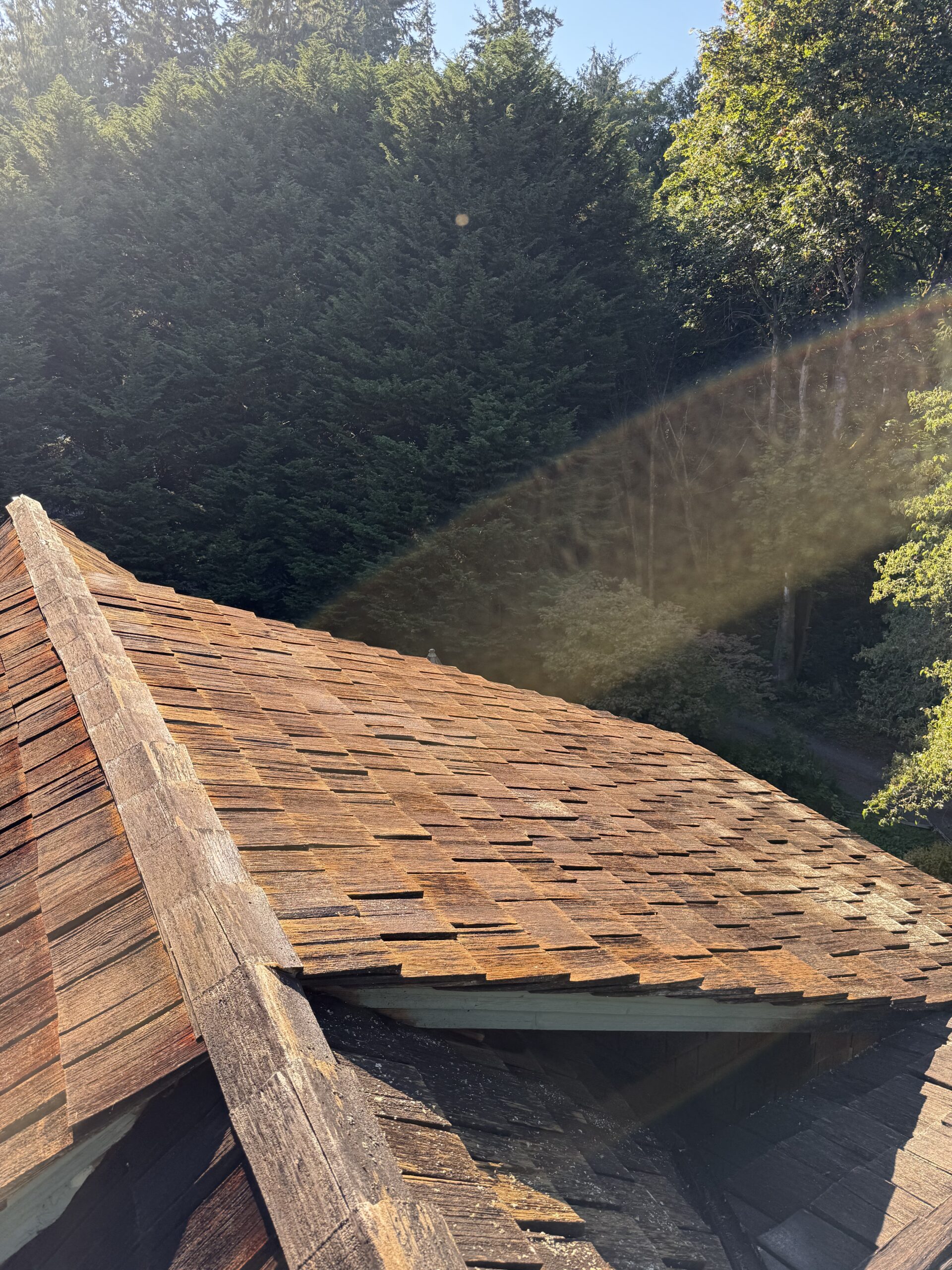 how to clean cedar shake roofs