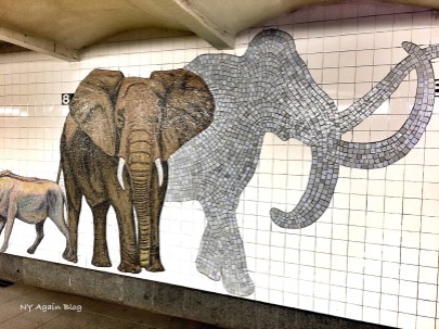 SubteElephant