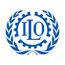 Call for Individual Consultants – Training of Trainers (ToT) Facilitation and Teacher Trainers Handbook Development (Dairy and Horticulture Value Chains)