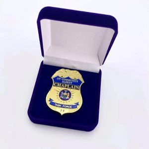 NYCSCTF Pin