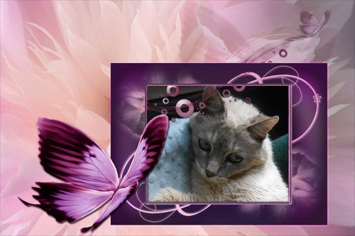 Nylablue 2014 from Binky