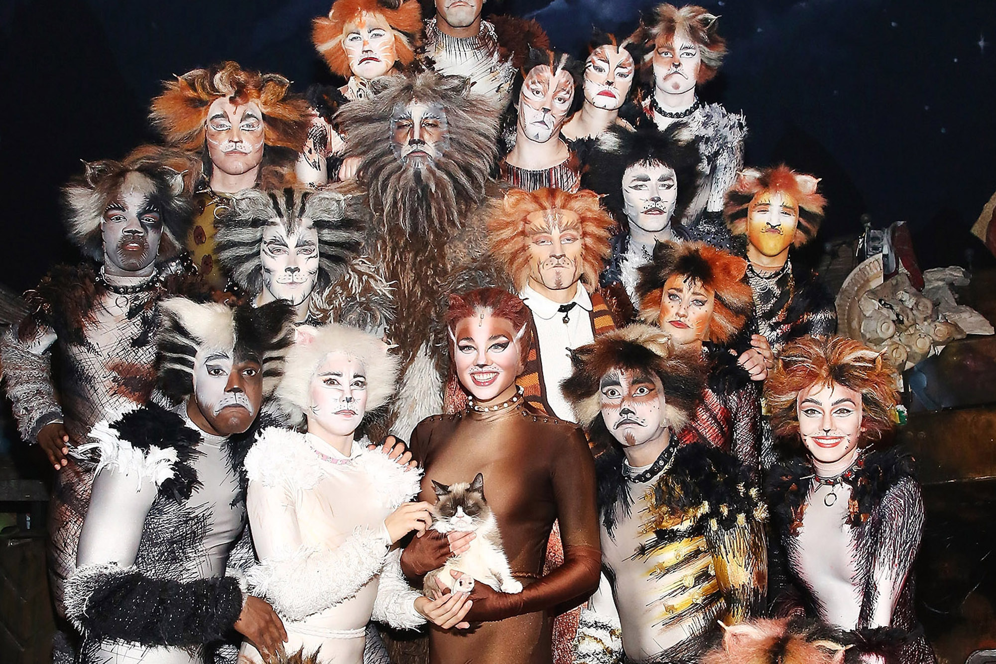 1981, original broadway cast 1982, film 1998, first london revival cast 2014, second london revival cast 2015, broadway revival cast 2016 . Grumpy Cat becomes first feline to take stage in âCatsâ production