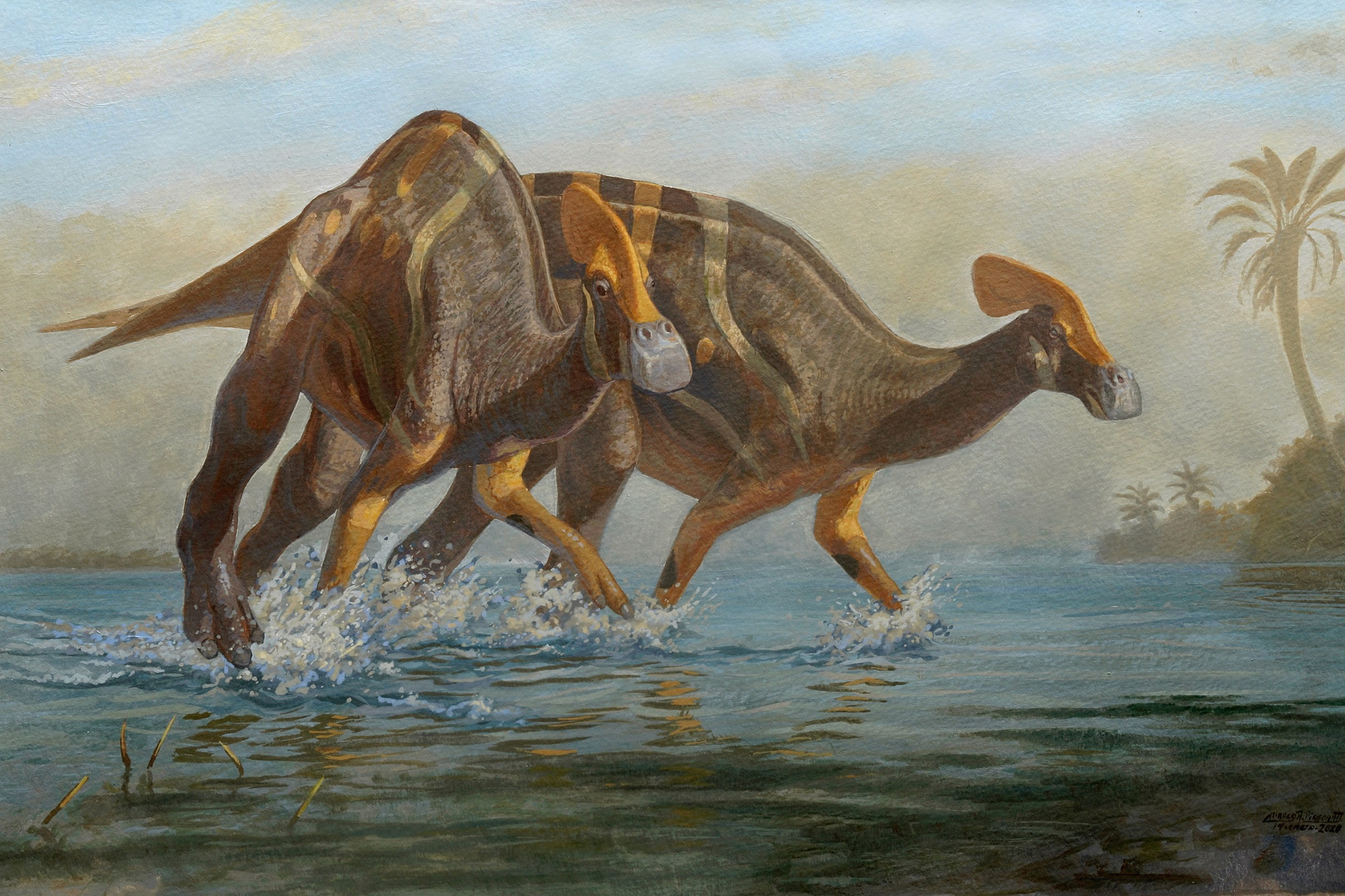 Brooklyn nets star kyrie irving will miss his team's game 7 clash with the milwaukee bucks on saturday. New species of crested dinosaur identified in Mexico