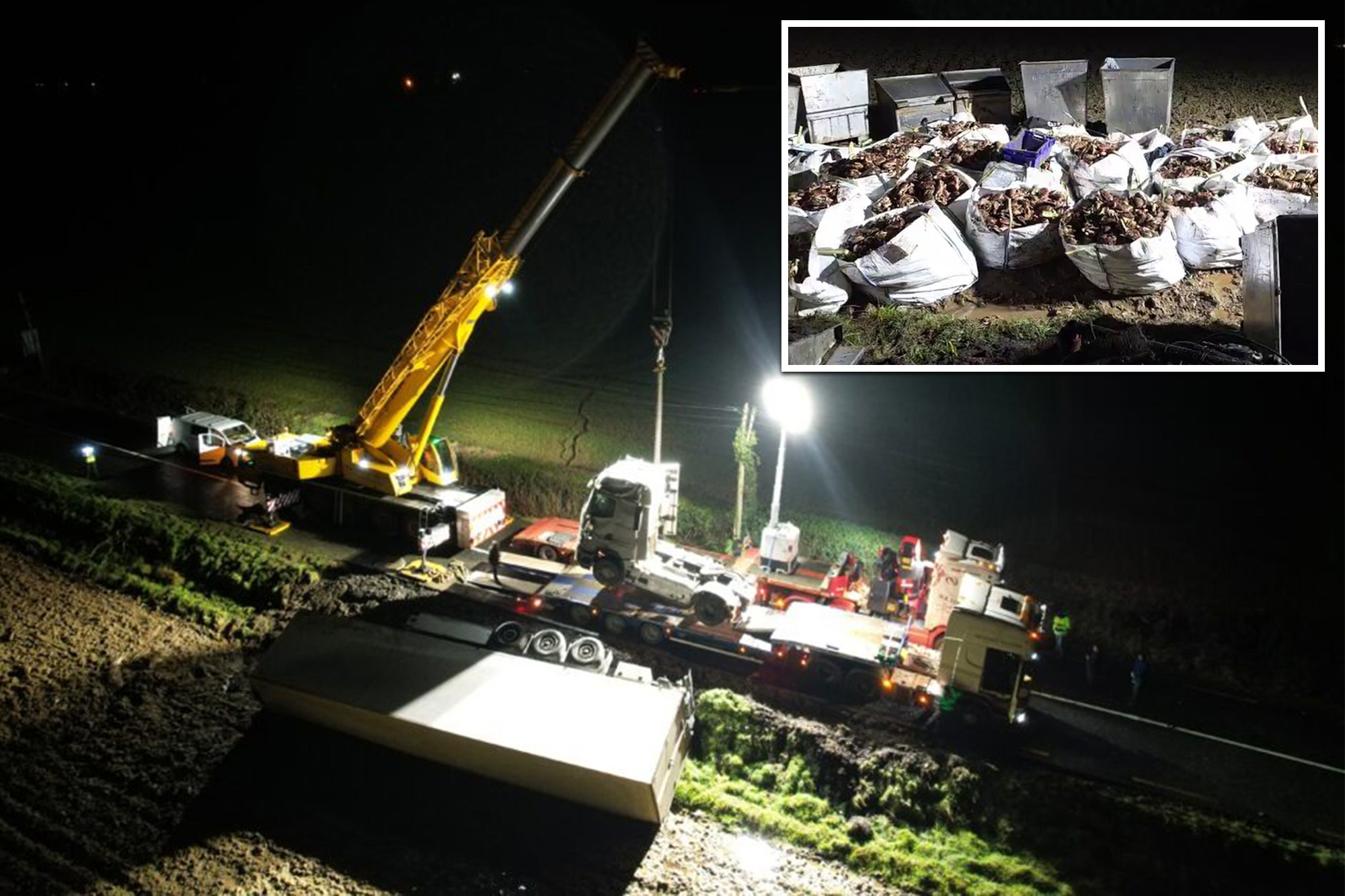 Irish town ‘shell-shocked’ after thousands of live crustaceans spill from overturned truck