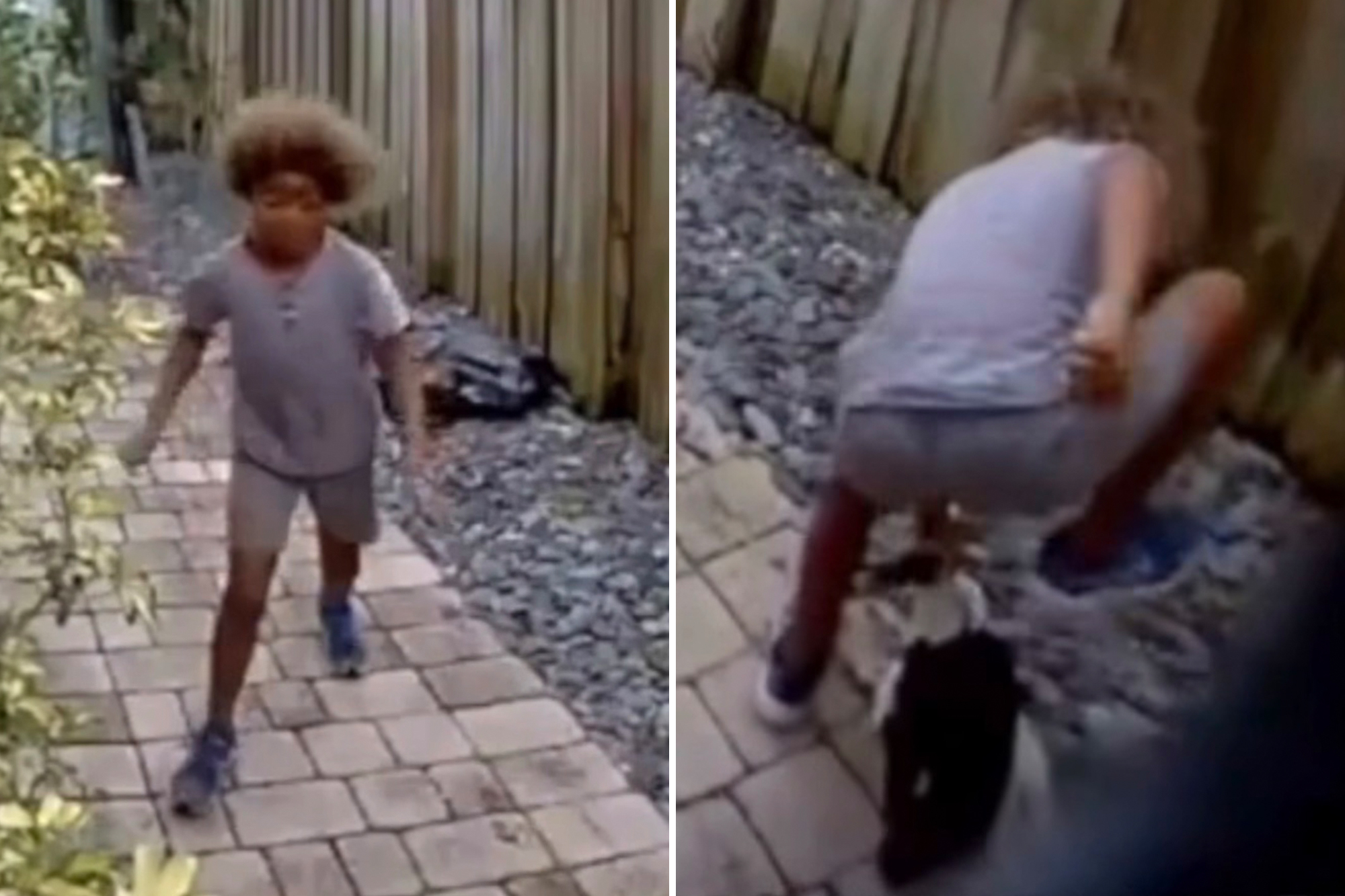 Police offer K reward to find Florida kid seen stomping, killing duck in disturbing video