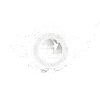 SJJIF logo