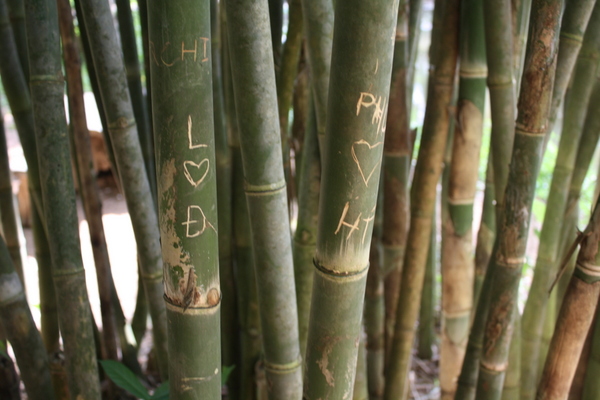 hue bamboo name carvings
