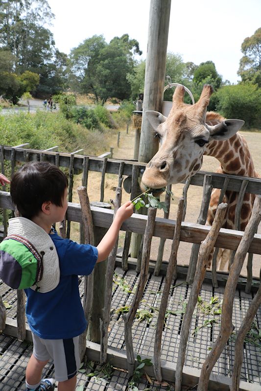 オラナ･ワイルドライフ･パーク（動物園）に行ってきました