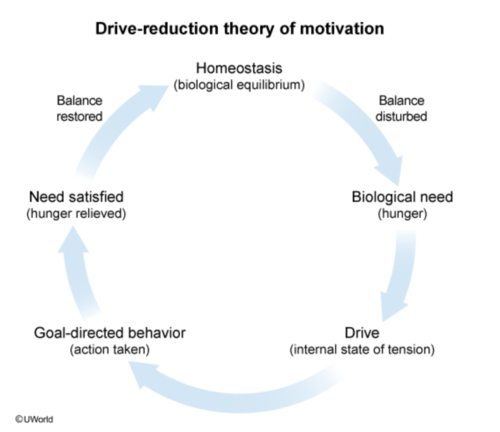 Motivation and attitudes flashcards