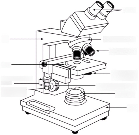 31.10.2014 · microscope configuration and image acquisition for the wound healing assay. Compound Microscope And Its Parts 3 Diagram Quizlet