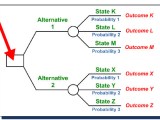 T7 Decision Trees Flashcards Quizlet
