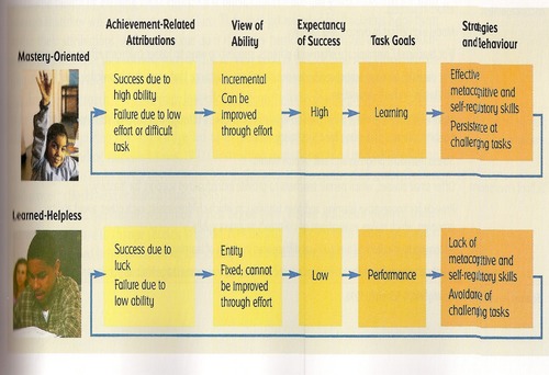 Developmental psychology exam 3 flashcards