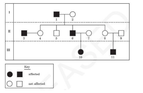 Biology midterm questions flashcards