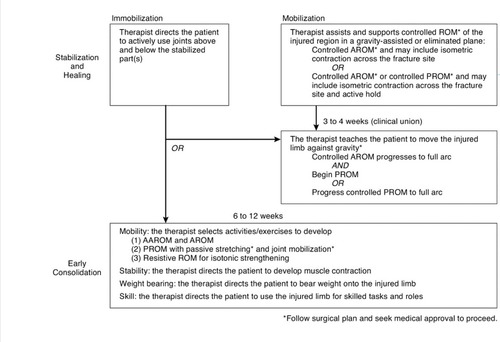 Ot 526: orthopedic conditions flashcards