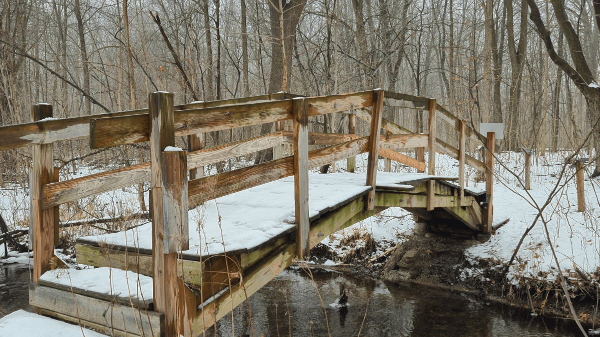 Snow covered bridge at Nels Kimball Sanctuary