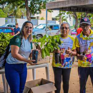 Foto: Aleksandro Soares