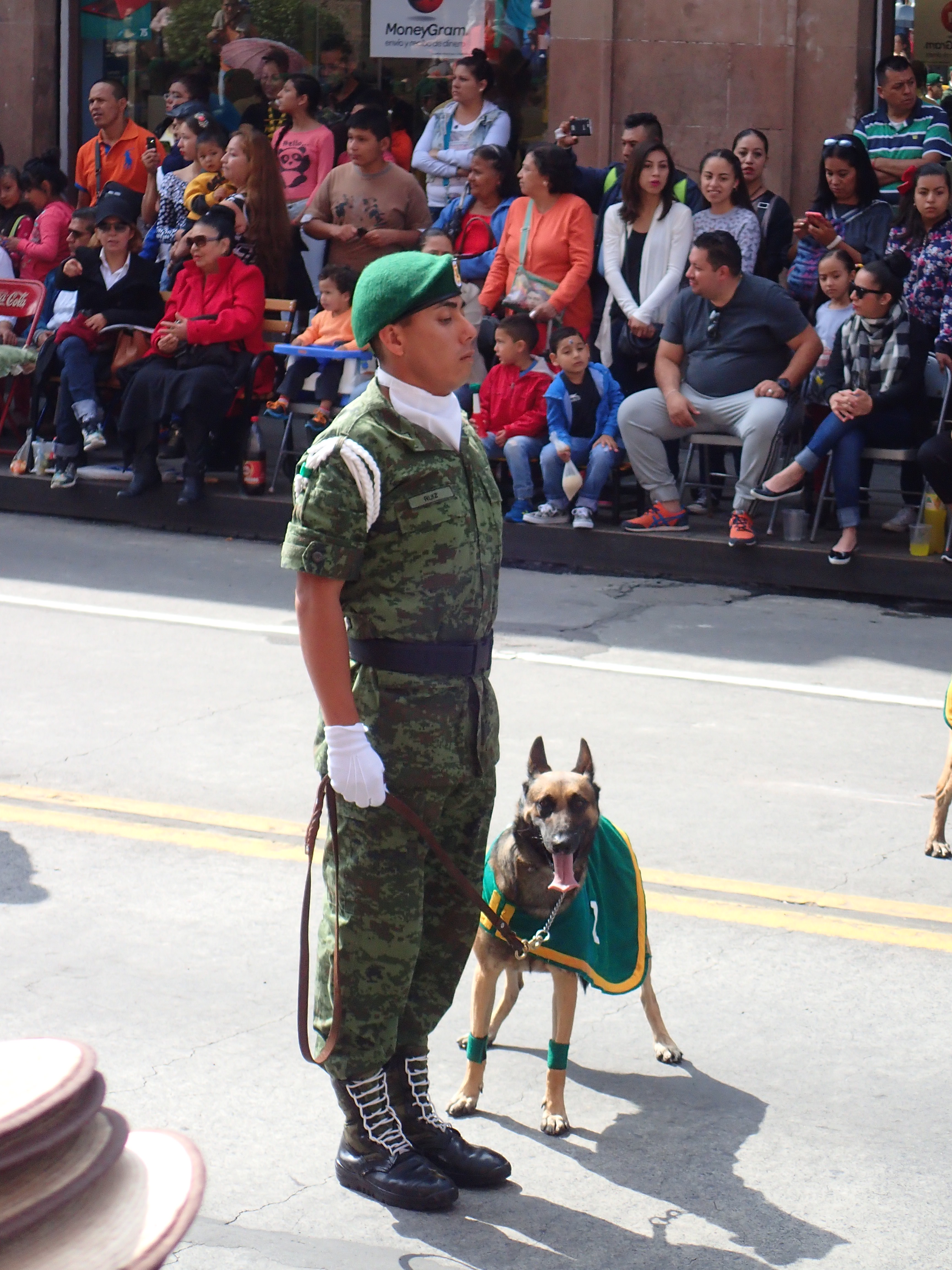 M - Le défilé Morelos