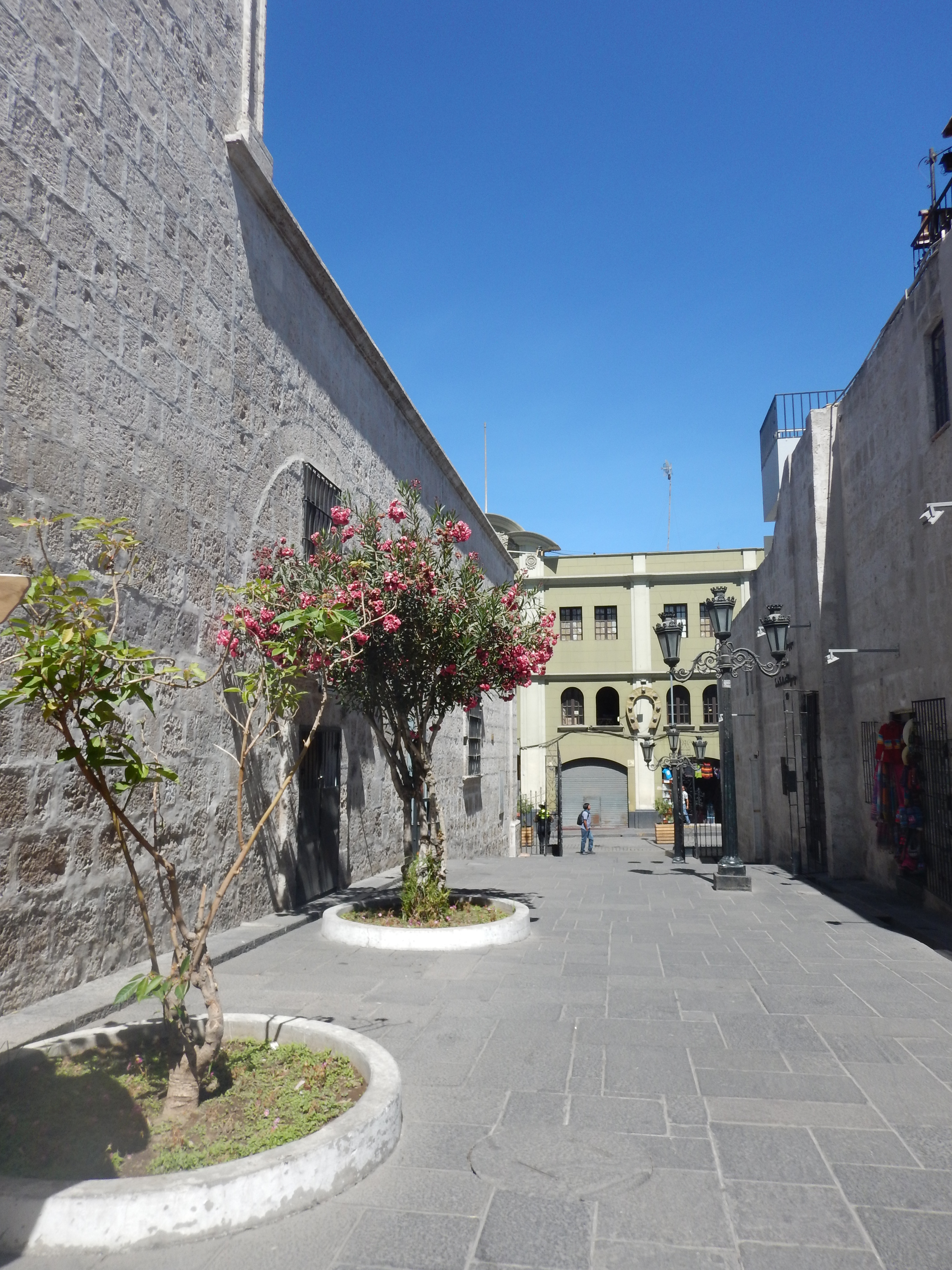 Arequipa's Street