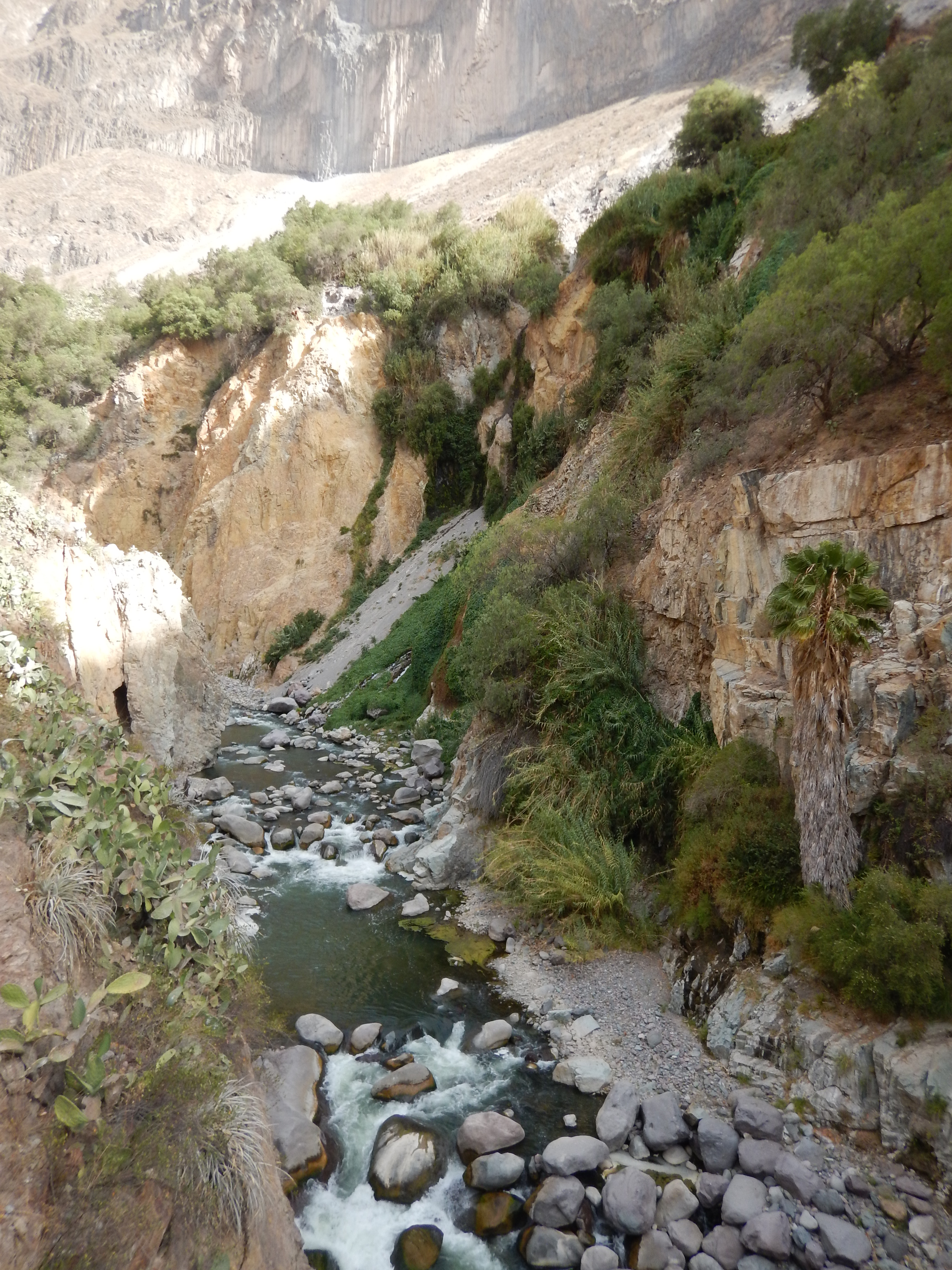 Arrivée à Sangalle