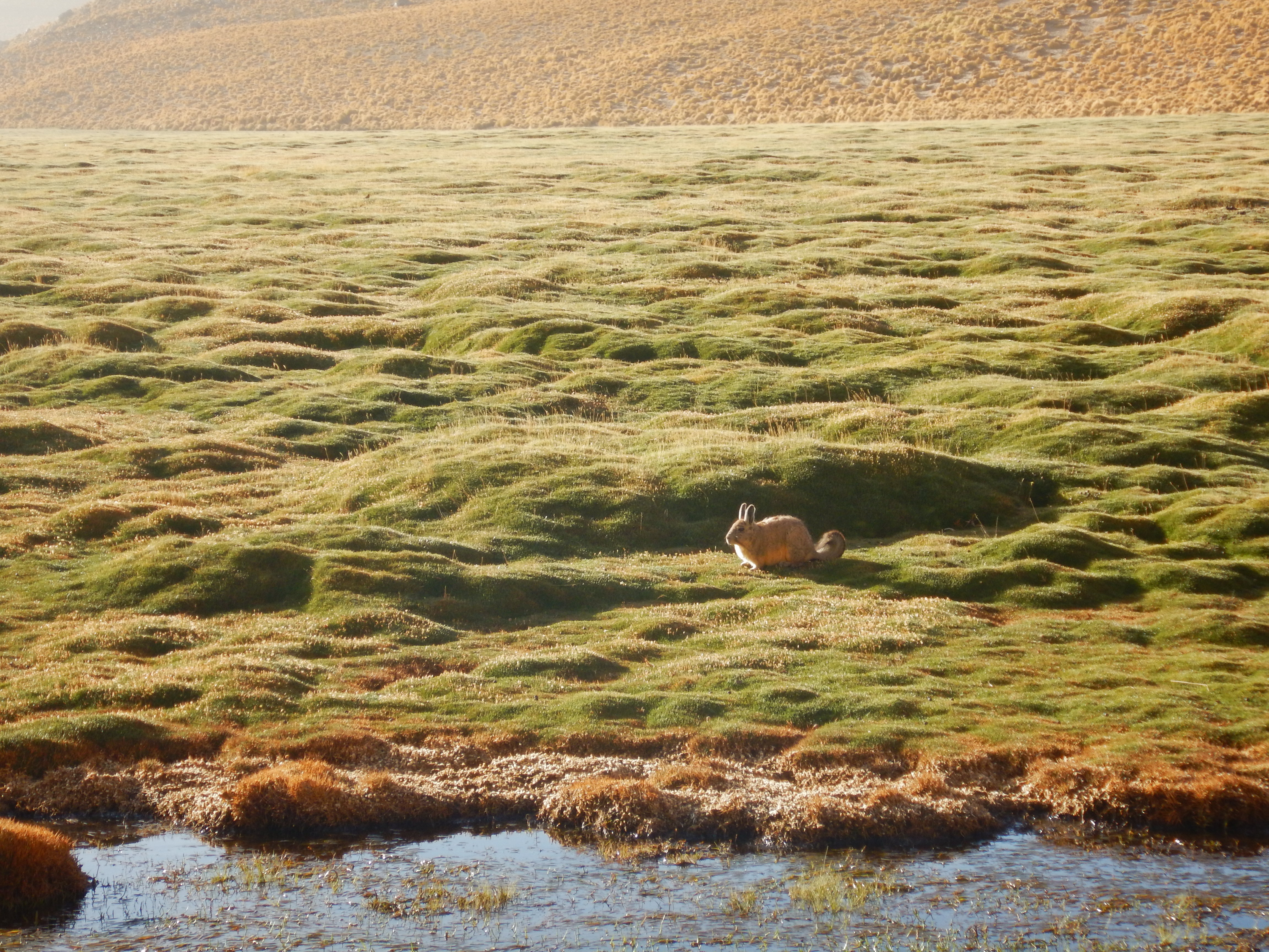 J8 - La route du retour