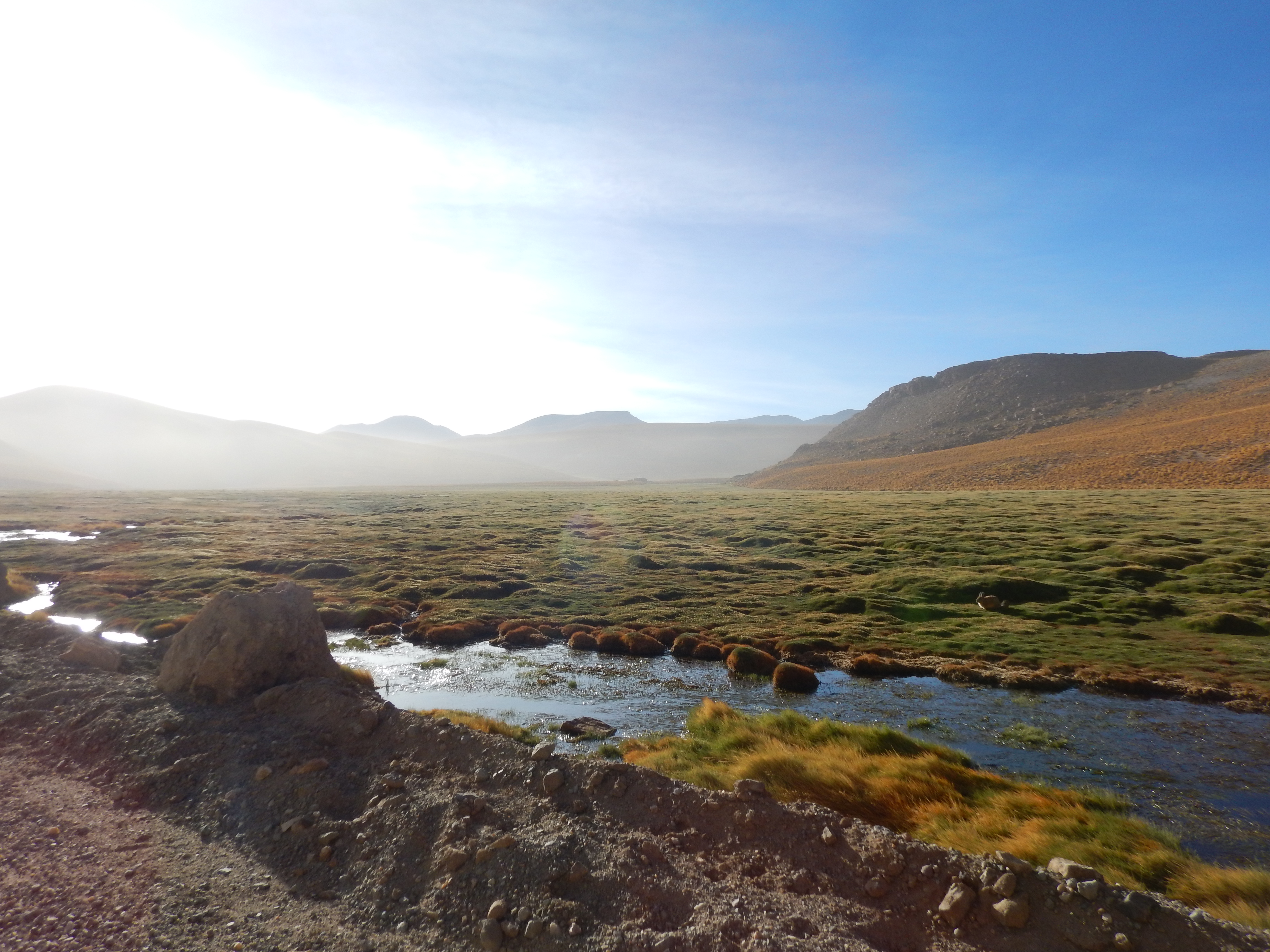 J8 - La route du retour