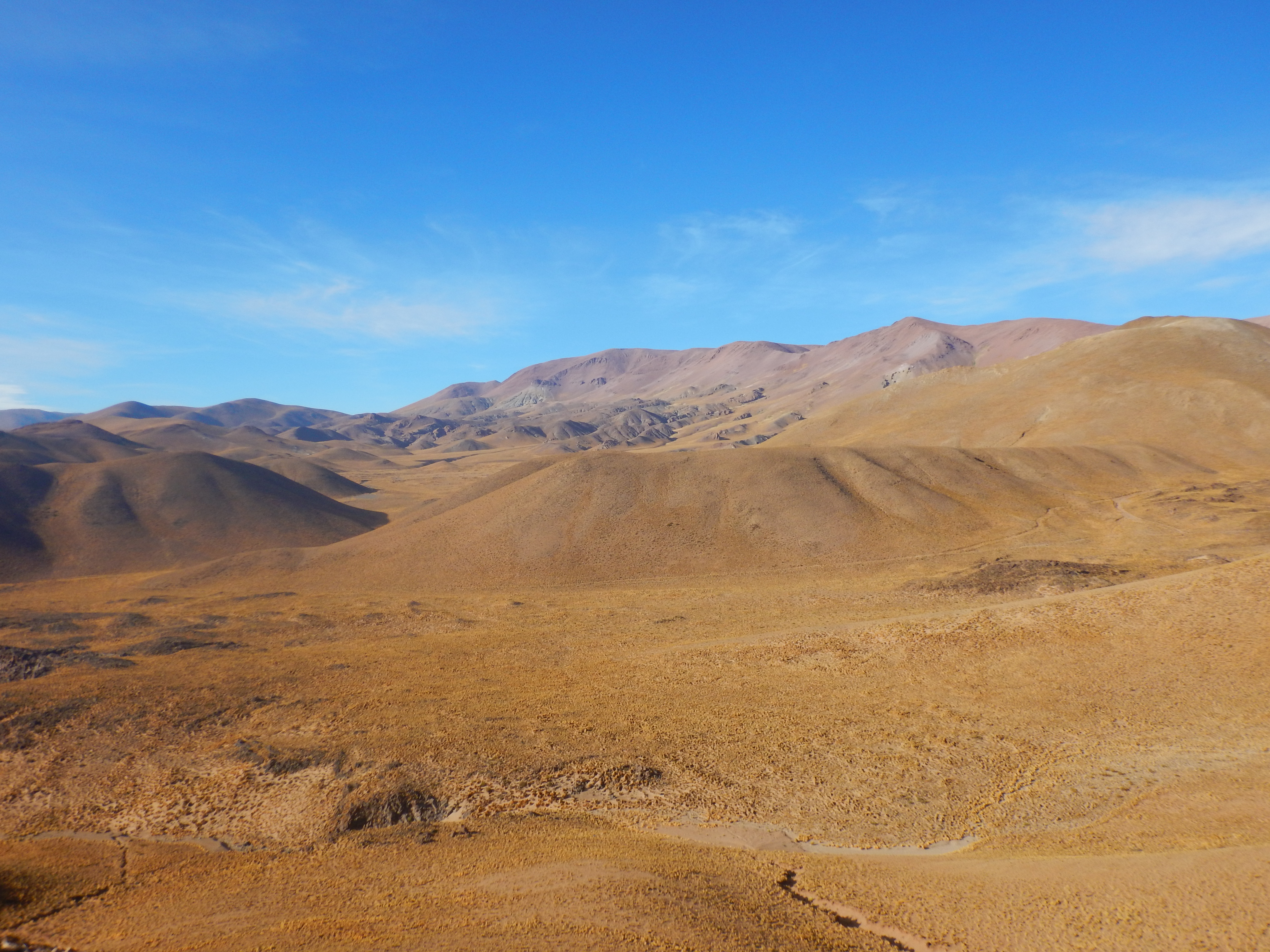 J8 - La route du retour