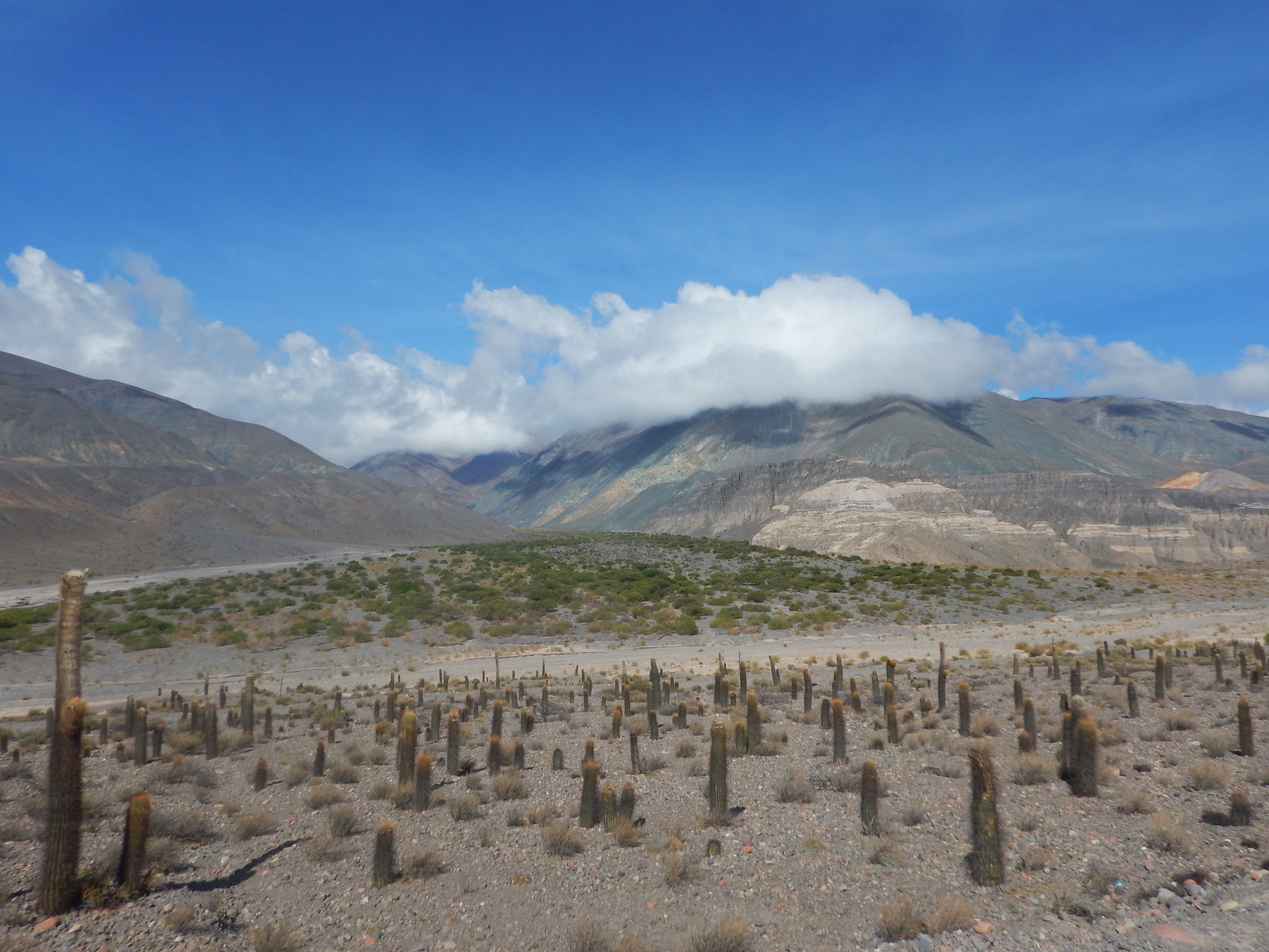 J8 - La route du retour