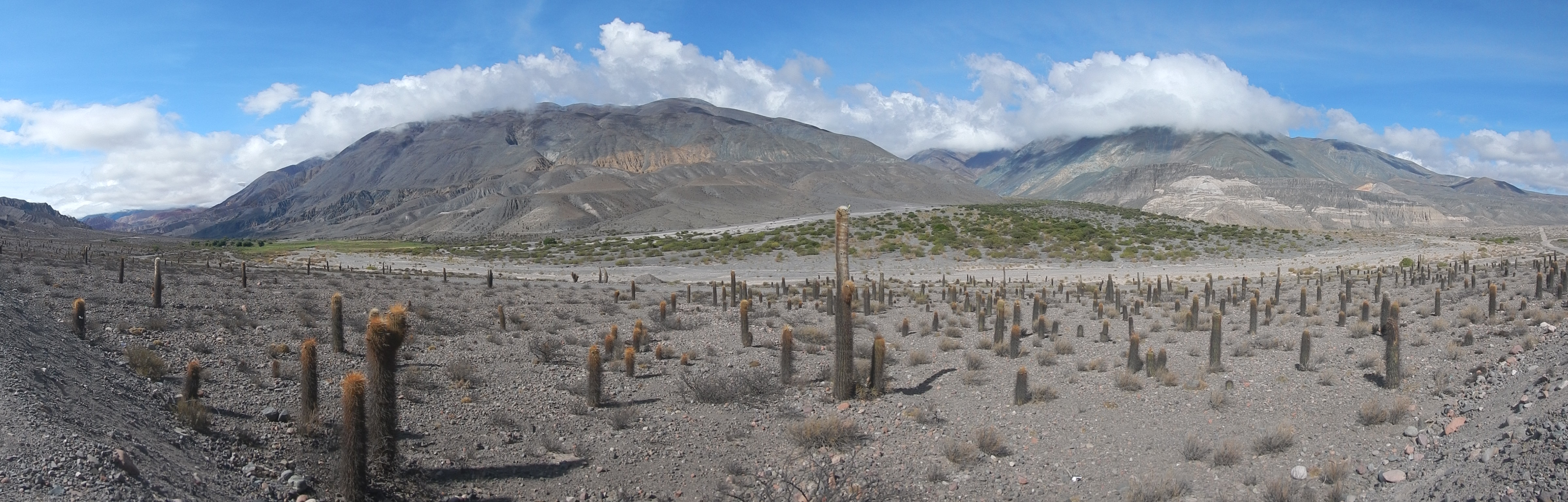 J8 - La route du retour