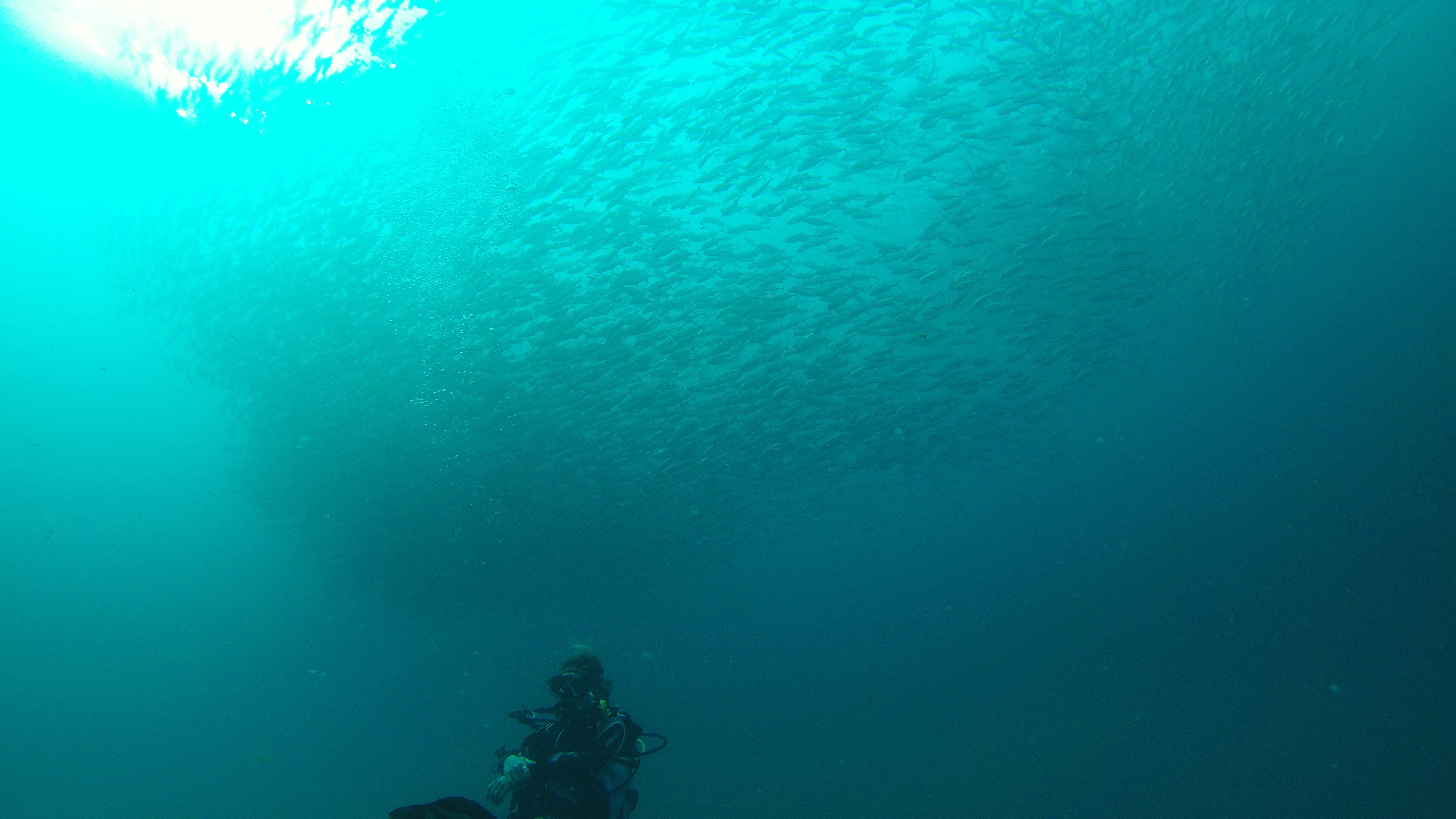 DCIM100GOPROG0072559.