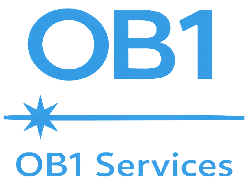 OB1 Consulting / Services