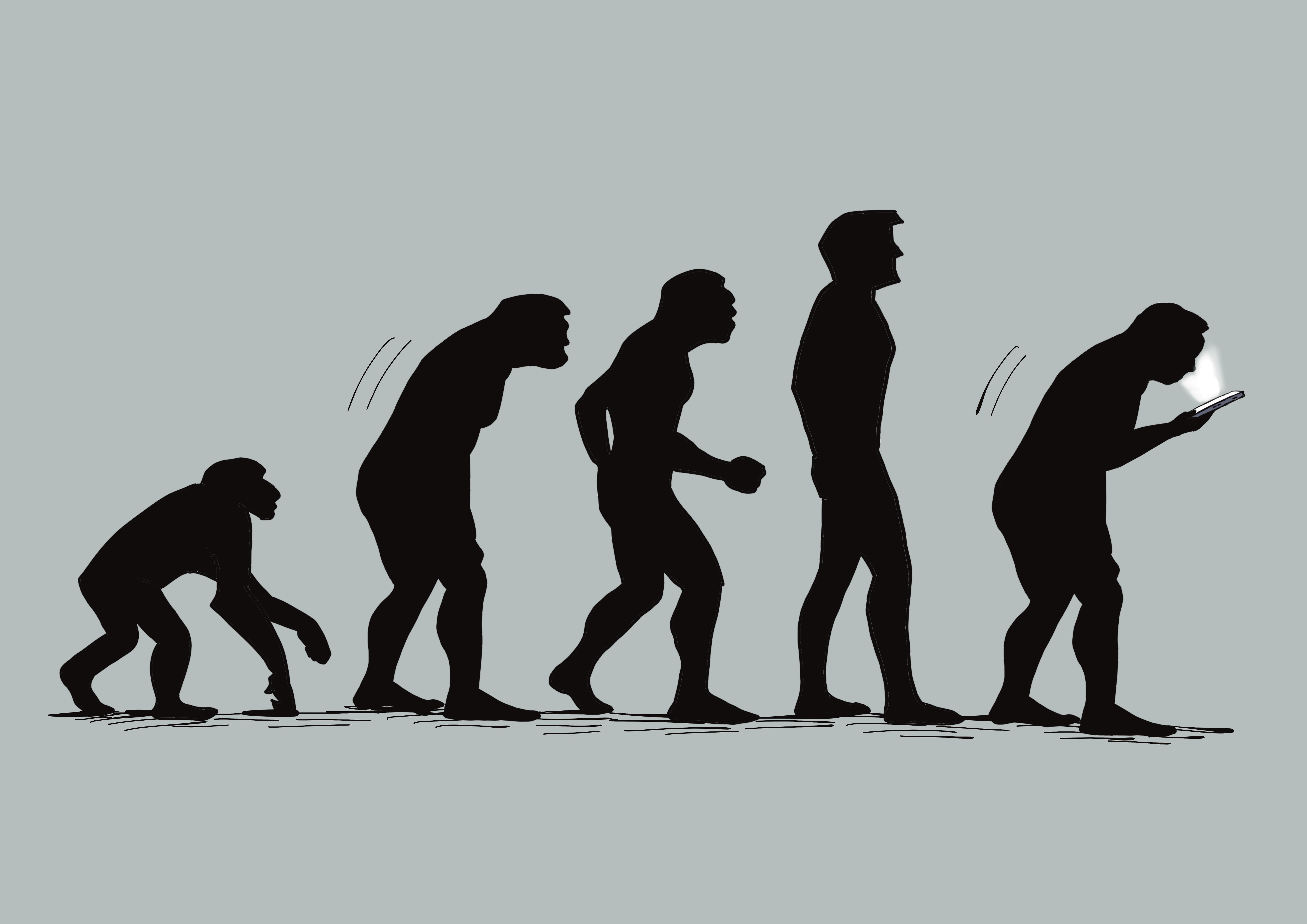 Stages of the Evolution of the Human Back