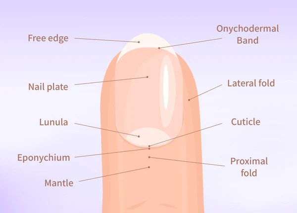 gel system