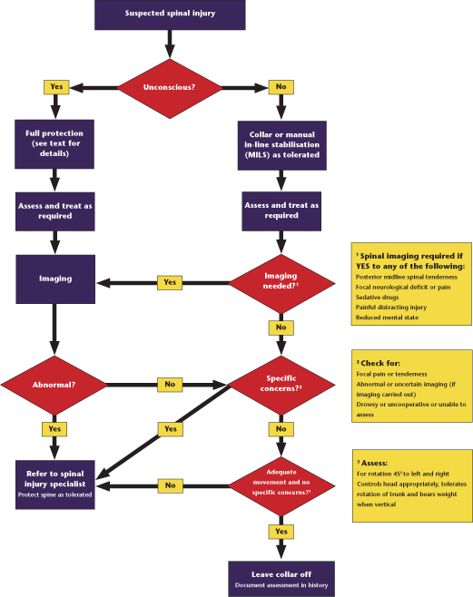 17 The child with injuries to the extremities or the spine | Obgyn Key
