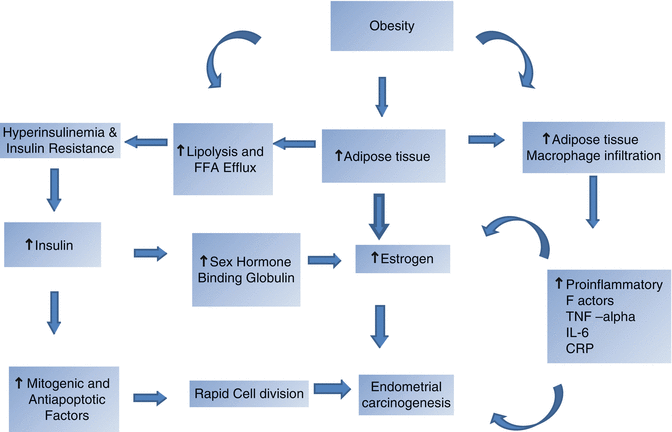 Metabolic Syndrome and Endometrial Cancer | Obgyn Key