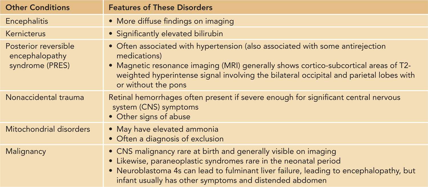 Workup of Neonatal Stroke Obgyn Key