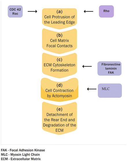 A334837_1_En_2_Fig4_HTML.gif