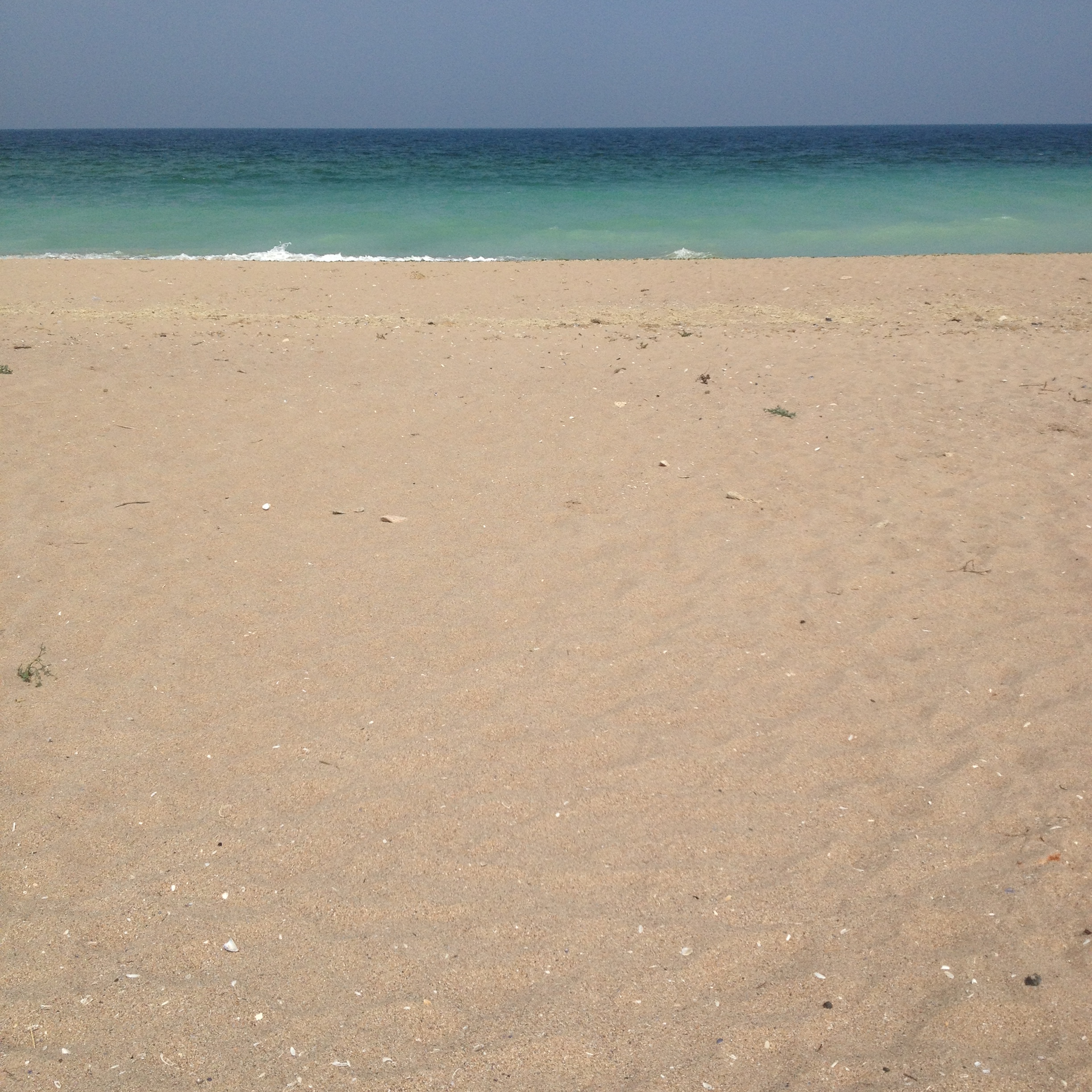 bulgarian sea in a box