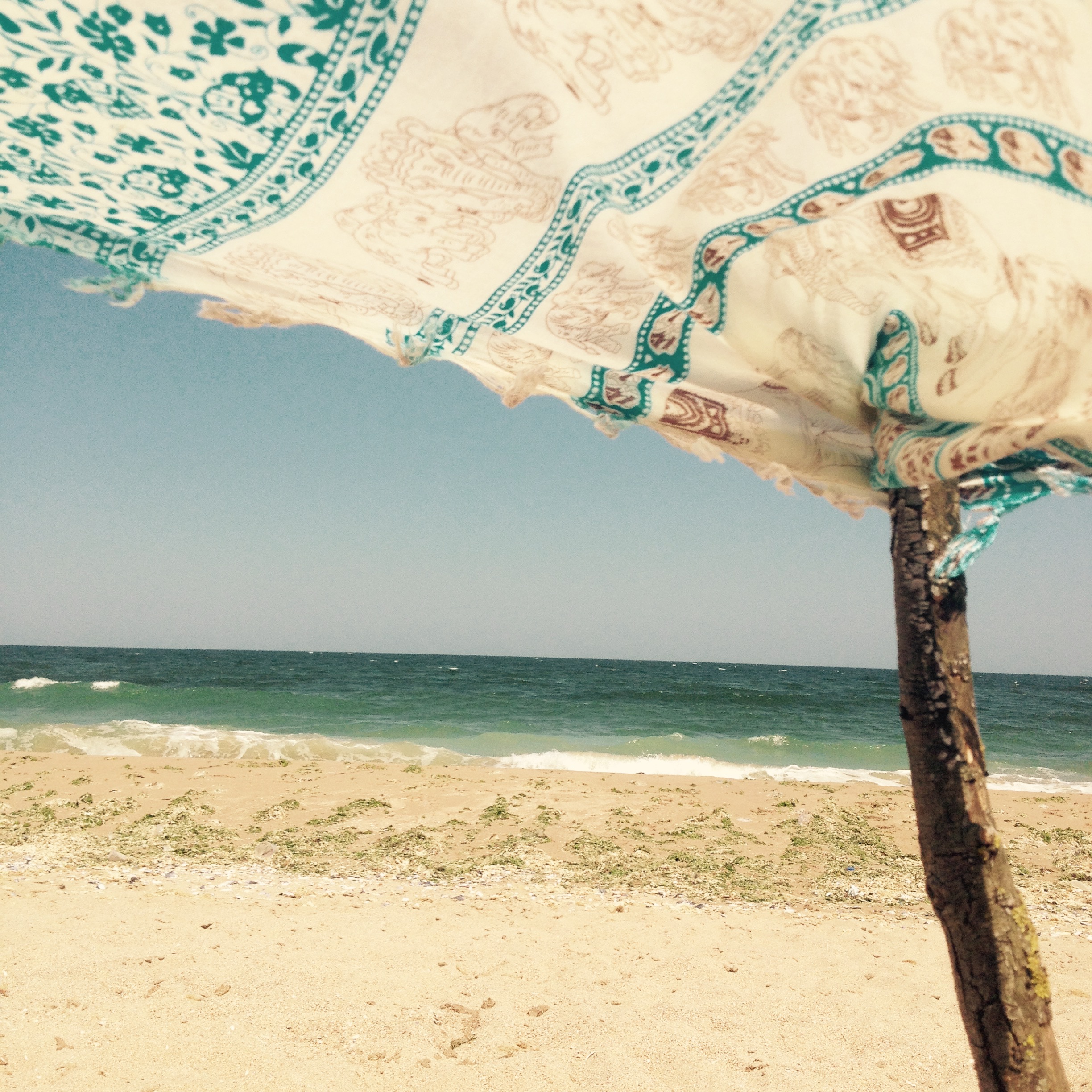 windy sunny glorious day