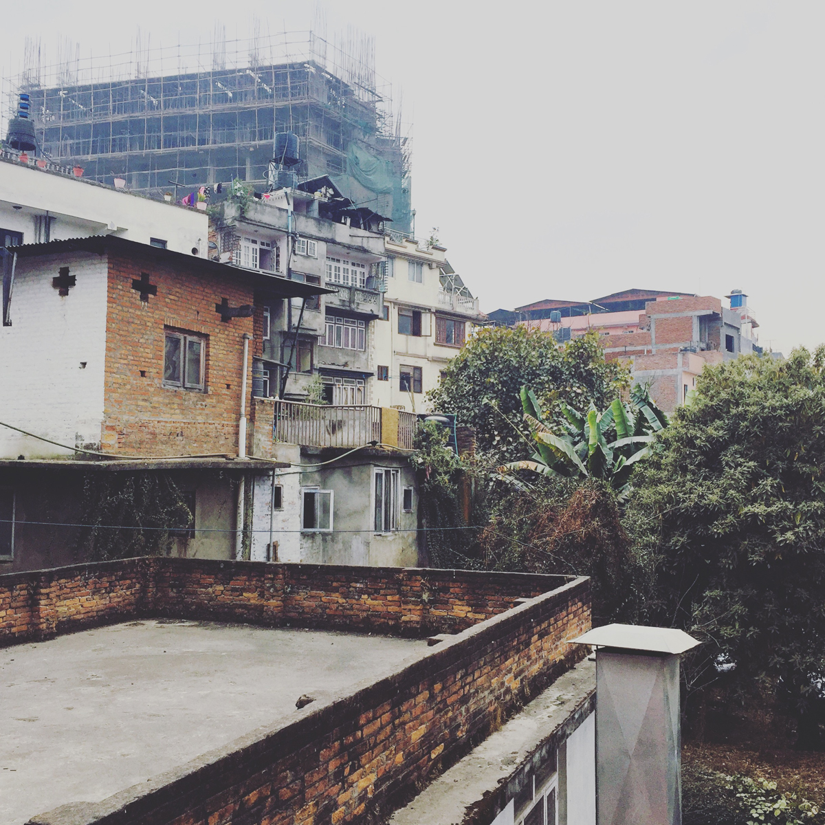 morning view from host