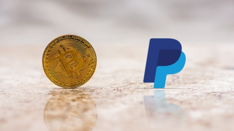Cryptocurrency is an increasingly trending term referring to digital money that can be purchased, transferred, and/or sold securely using cryptography, cryptocurrency is an increasingly trending term referring to digital money that can be p. Paypal The Paypal Latest News Updates Photos Shine News